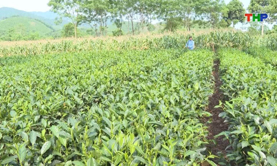 Bản tin Hải Ph&ograve;ng kết nối (06/12/2024)