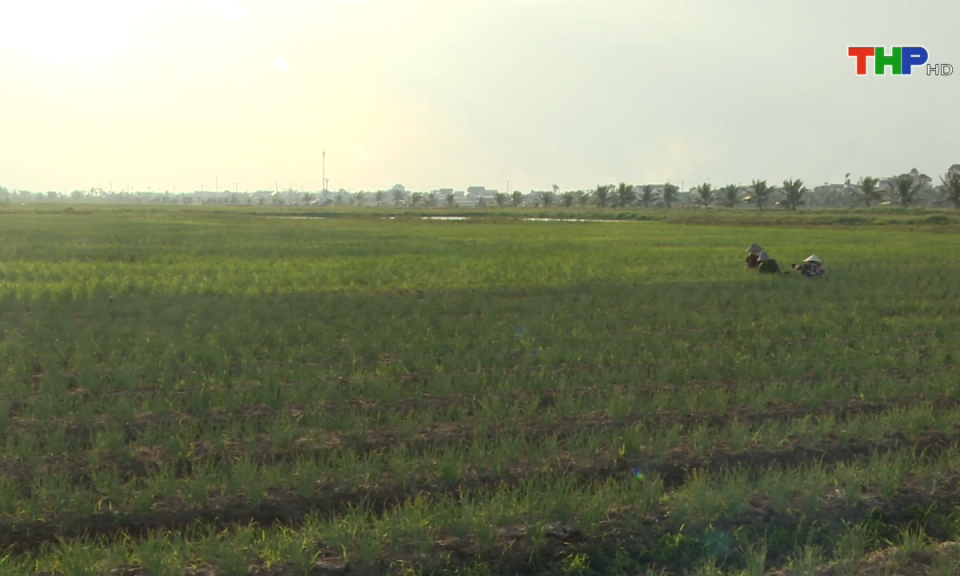 10 ph&uacute;t v&agrave;ng (06/12/2024)