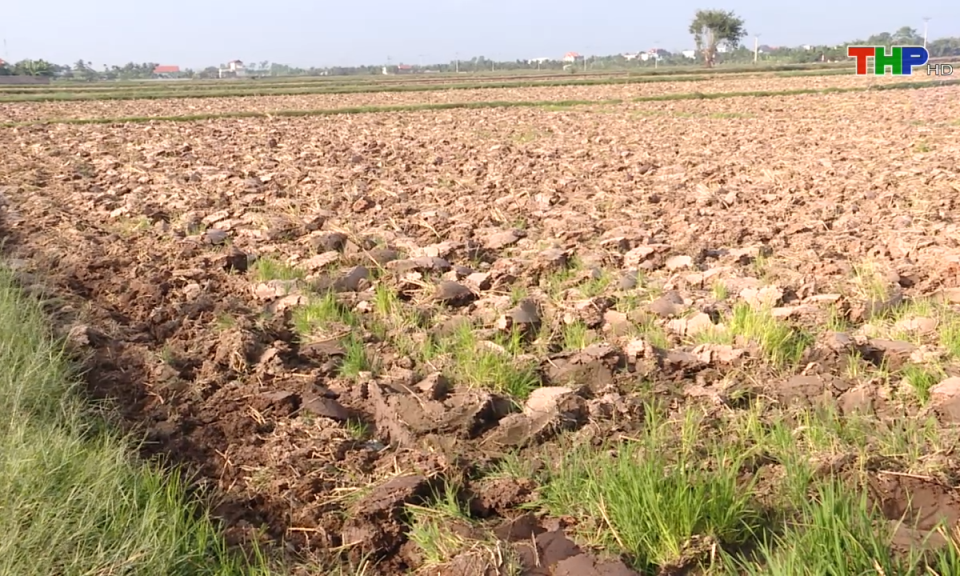 Bản tin thời sự s&aacute;ng (07/12/2024)