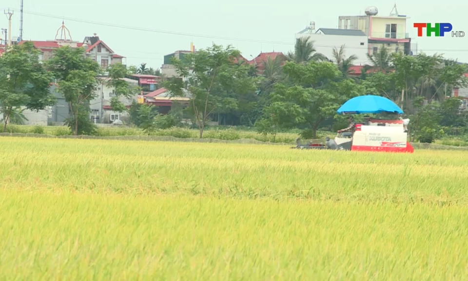 Bản tin tiếng Trung (07/12/2024)