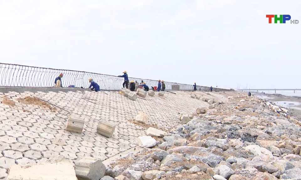 Bản tin tiếng Anh (08/12/2024)