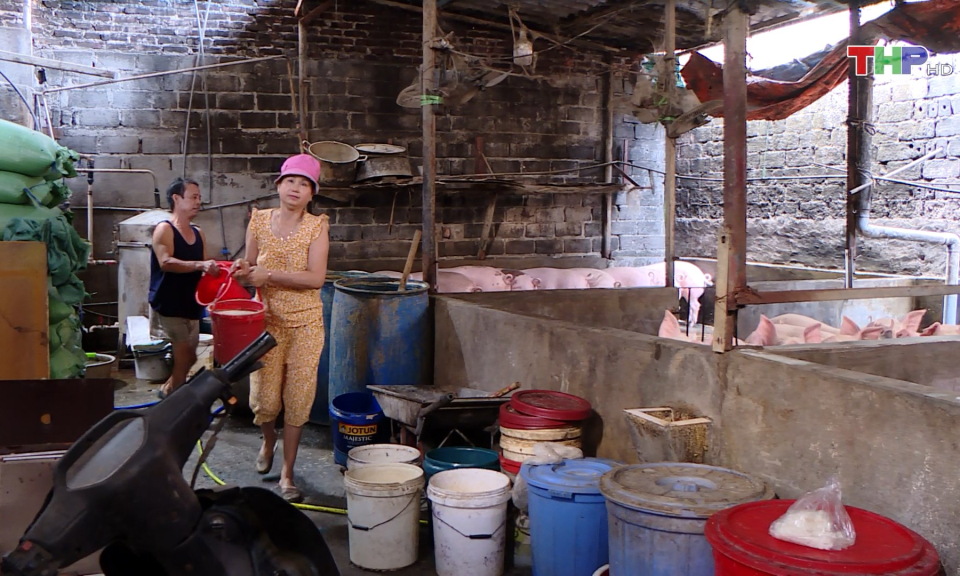 Dừng chăn nu&ocirc;i gia s&uacute;c, gia cầm  trong nội đ&ocirc; từ năm 2025