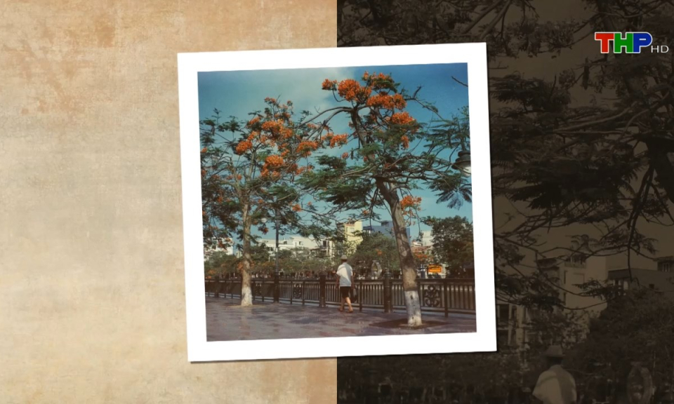 Chuyện đương thời: Th&uacute; chơi của người ho&agrave;i niệm