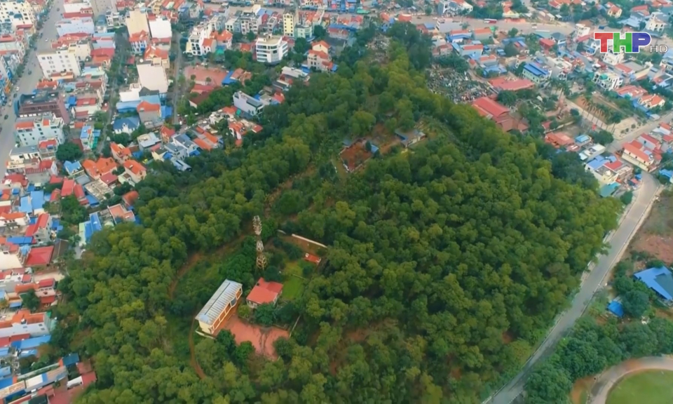 Tăng cường  quản l&yacute;, bảo vệ rừng                                   