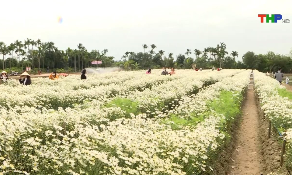 Hải Ph&ograve;ng những g&oacute;c nh&igrave;n: Ph&aacute;t triển du lịch sinh th&aacute;i n&ocirc;ng nghiệp, n&ocirc;ng th&ocirc;n - Hướng đi bền vững