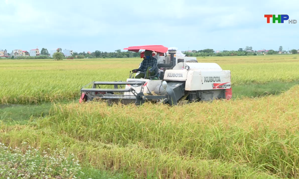 Bản tin thời sự s&aacute;ng (13/12/2024)