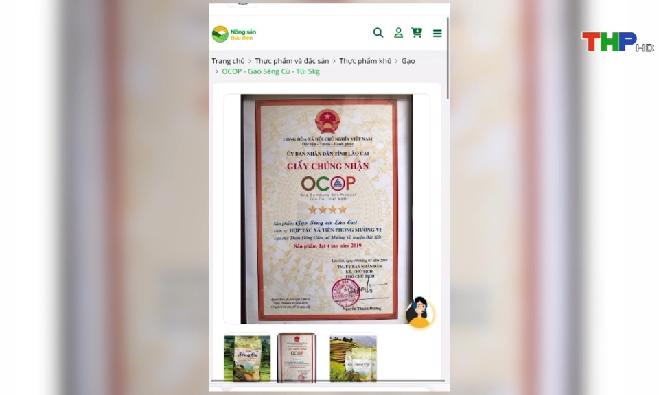 10 ph&uacute;t v&agrave;ng (13/12/2024)