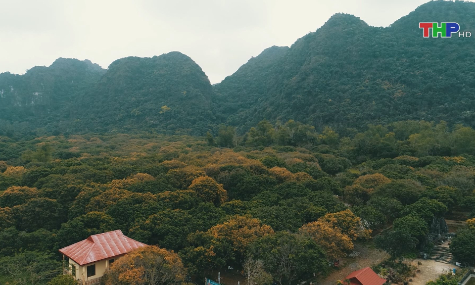 Ph&aacute;t huy gi&aacute; trị Khu Dự trữ sinh quyển quần đảo C&aacute;t B&agrave;