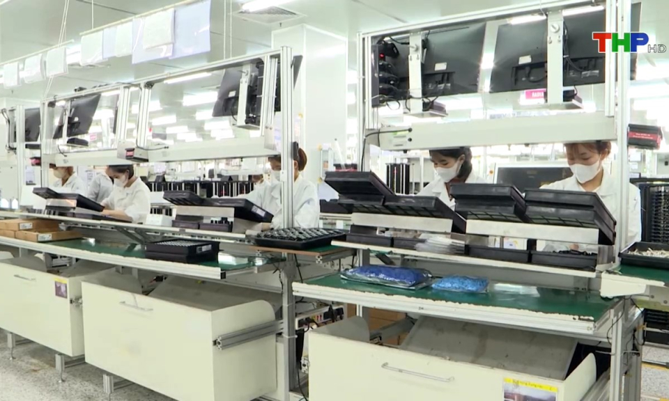 Bản tin tiếng Trung (14/12/2024)