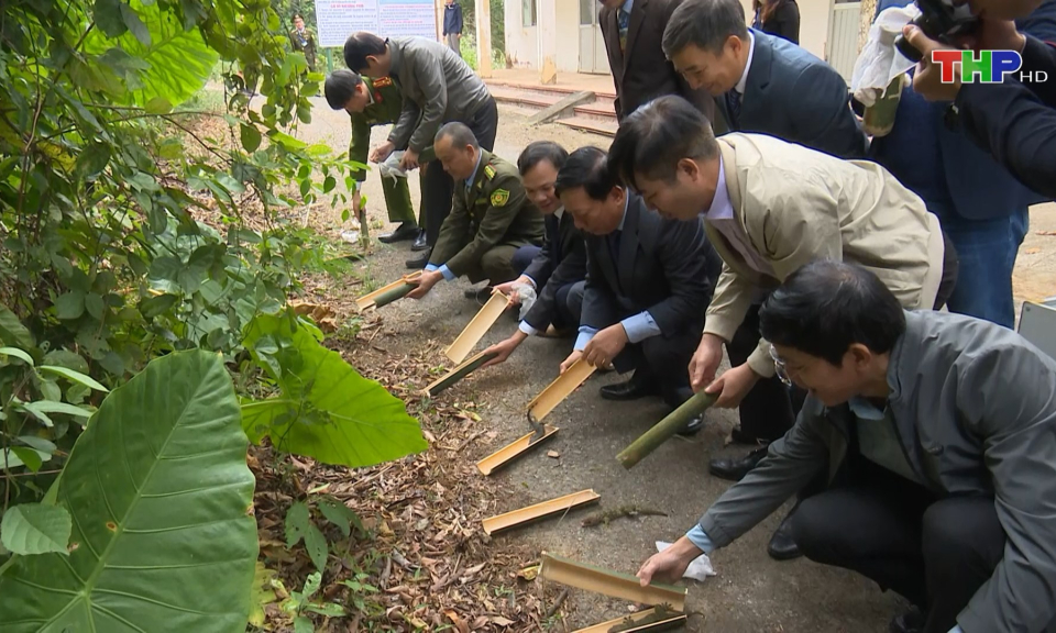 Thả động vật hoang d&atilde; về tự nhi&ecirc;n