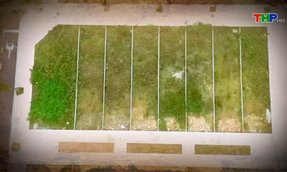 Ph&aacute;p luật v&agrave; cuộc sống: Gỡ vướng trong c&ocirc;ng t&aacute;c đấu gi&aacute; t&agrave;i sản