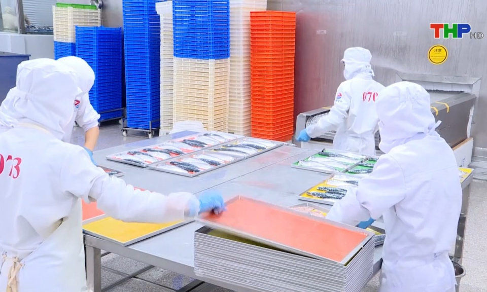 Bản tin Hải Ph&ograve;ng h&ocirc;m nay (20/12/2024)