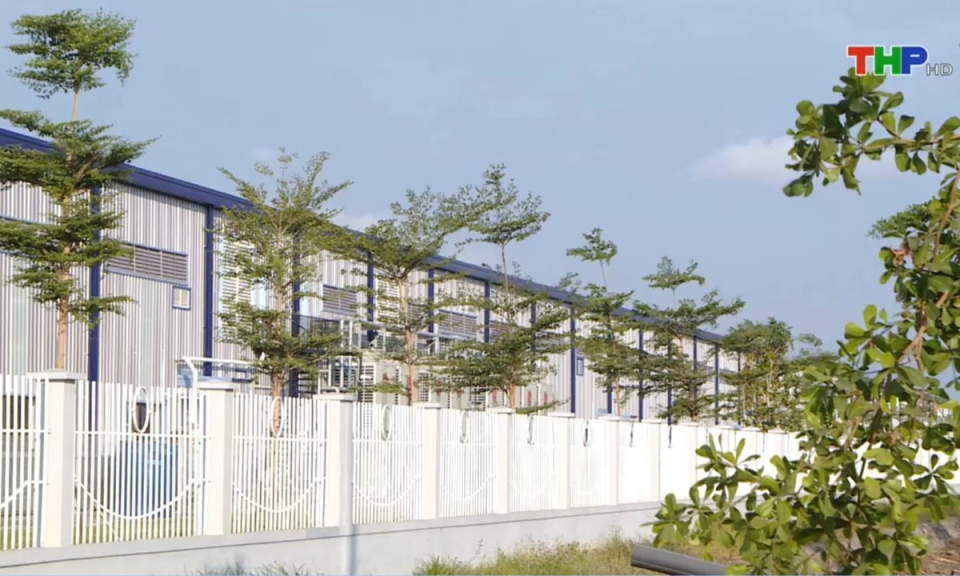 Bản tin thời sự s&aacute;ng (22/12/2024)