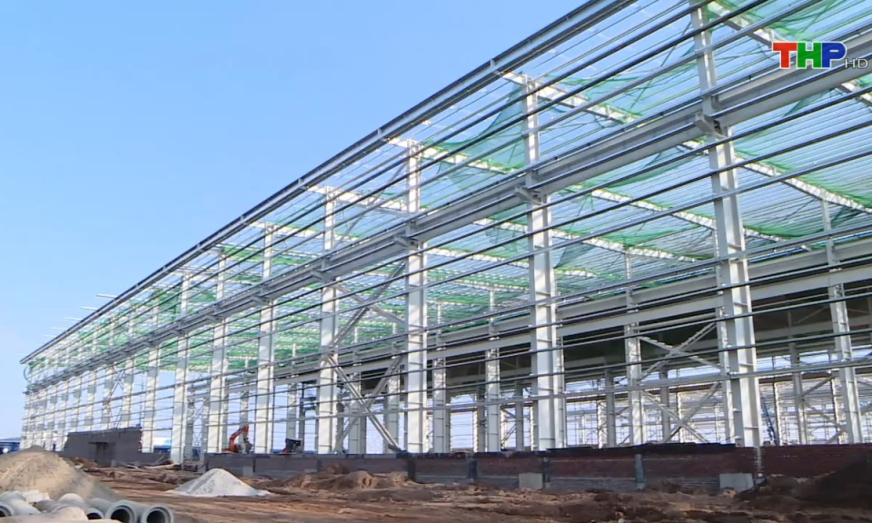 Bản tin Hải Ph&ograve;ng h&ocirc;m nay (22/12/2024)