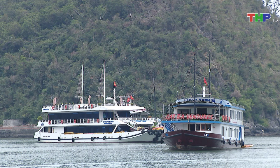 Huyện C&aacute;t Hải đặt mục ti&ecirc;u đ&oacute;n 4 triệu lượt kh&aacute;ch năm 2025