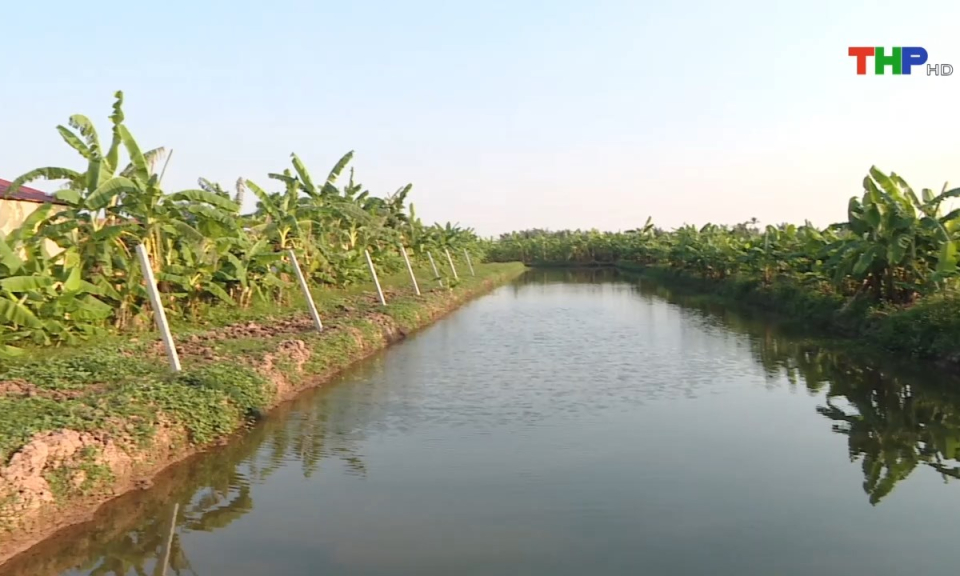 10 ph&uacute;t v&agrave;ng (24/12/2024)