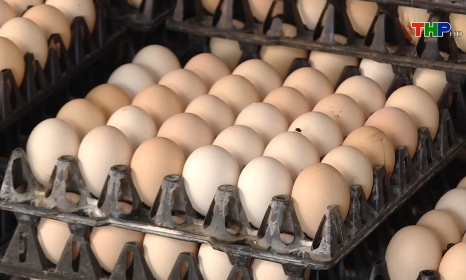 Bản tin thời sự s&aacute;ng (25/12/2024)