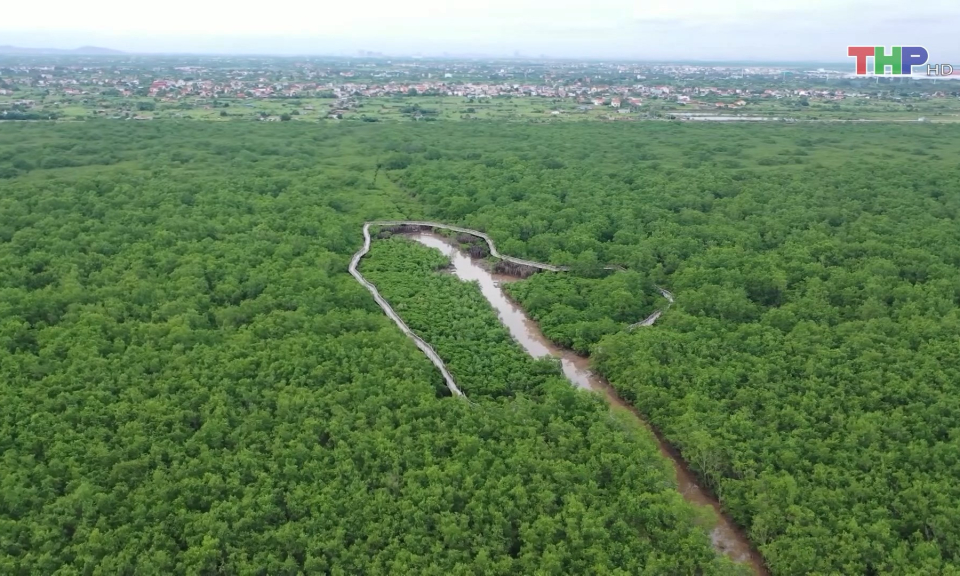 Ph&aacute;t triển du lịch 4 m&ugrave;a tại Đồ Sơn