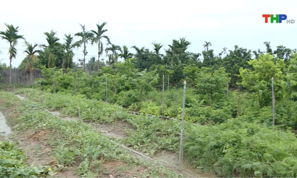 Bản tin thời sự s&aacute;ng (27/12/2024)