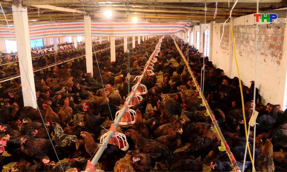 Bản tin Hải Ph&ograve;ng h&ocirc;m nay (30/12/2024)