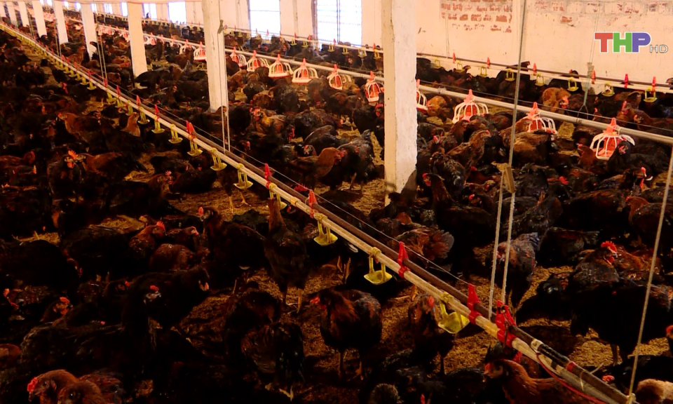 Sẵn s&agrave;ng nguồn cung thực phẩm dịp cuối năm