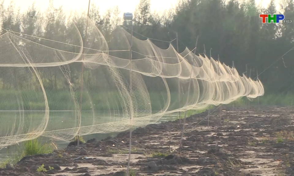 Bản tin tiếng Trung (30/12/2024)