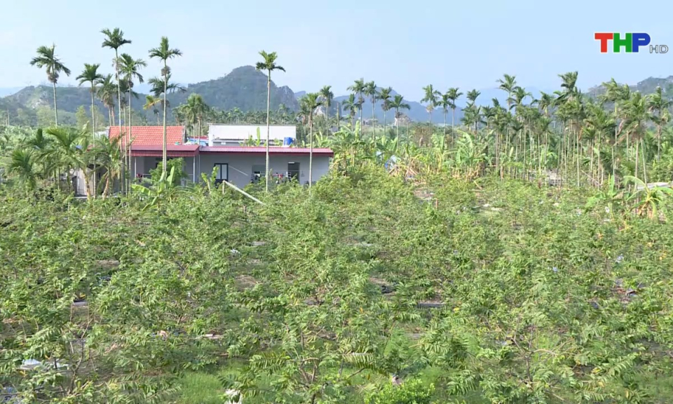 Bản tin thời sự s&aacute;ng (31/12/2024)