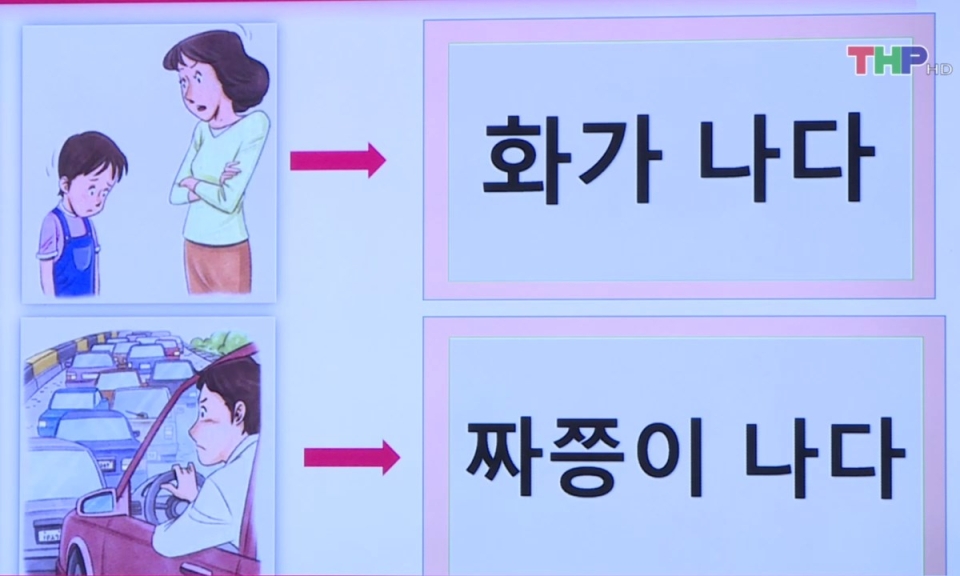 Bản tin thời sự trưa (31/12/2024)