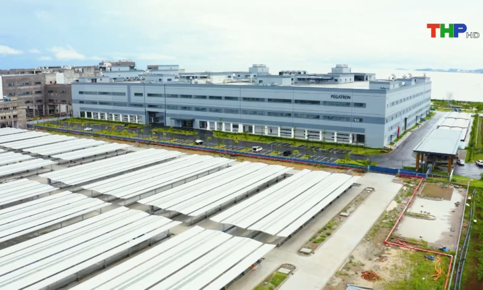 Bản tin tiếng Anh (31/12/2024)