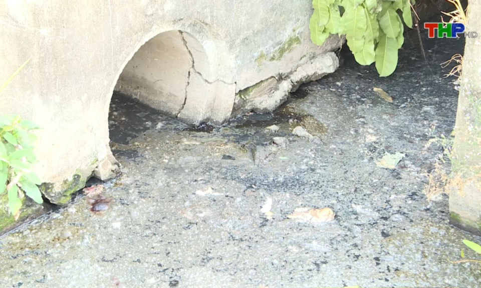 Hộp thư truyền h&igrave;nh: &Ocirc; nhiễm m&ocirc;i trường từ l&ograve; giết mổ trong khu d&acirc;n cư