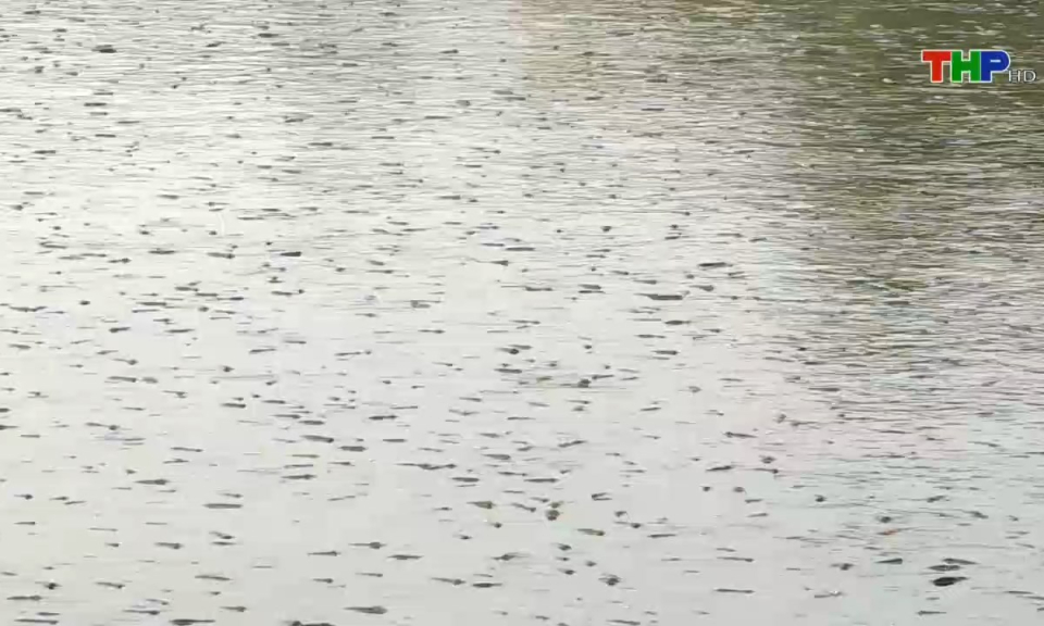 10 ph&uacute;t v&agrave;ng (02/01/2025)