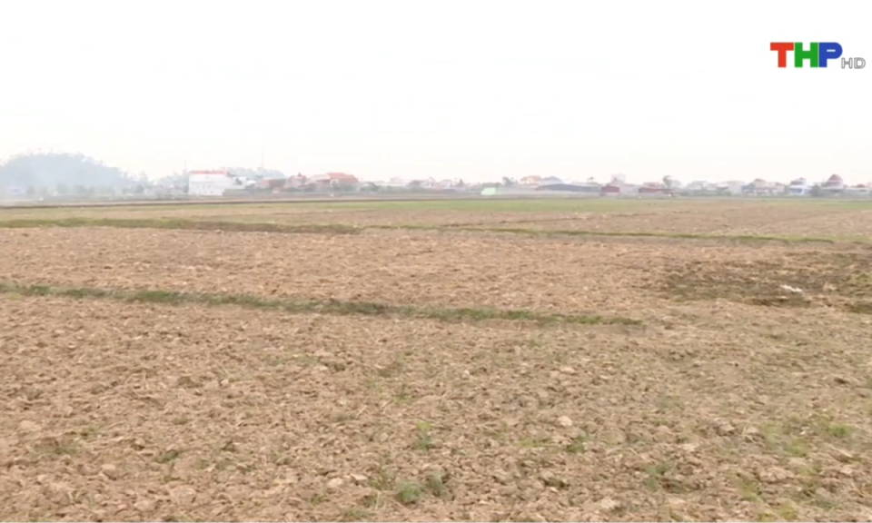 Bản tin thời sự tối (02/01/2025)