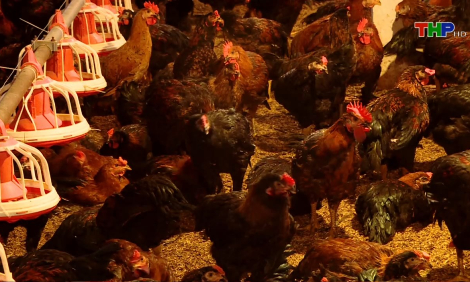 10 ph&uacute;t v&agrave;ng (03/01/2025)