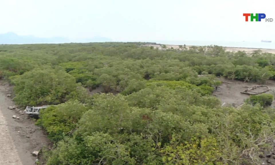 Ph&aacute;p luật v&agrave; cuộc sống: N&acirc;ng cao tr&aacute;ch nhiệm quản l&yacute; nh&agrave; nước về đ&ecirc; điều