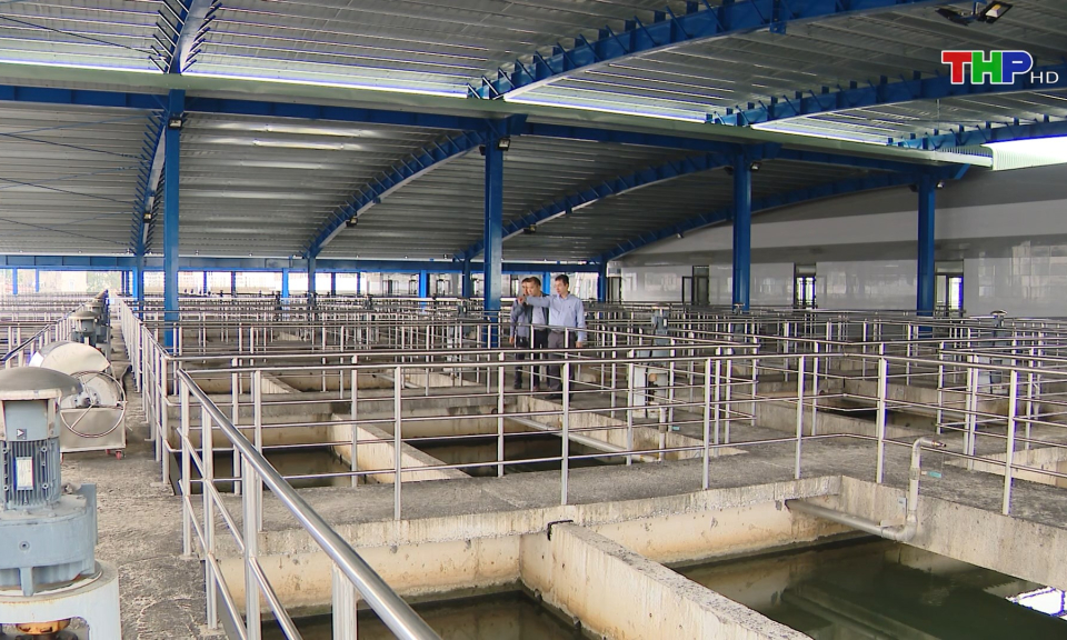 Đợt thi đua cao điểm phục vụ Tết