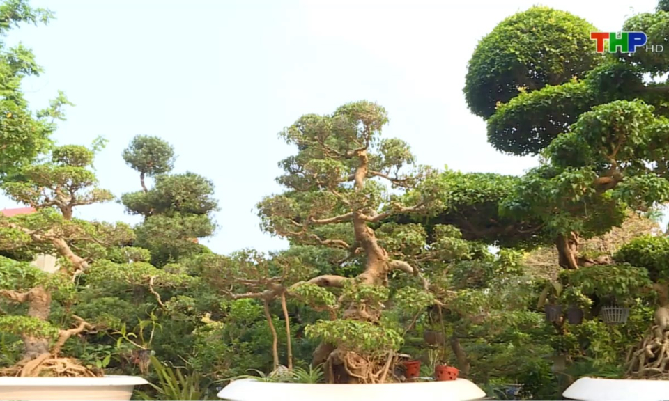 &Acirc;m vang miền cửa biển: Nghề chơi cảnh thế