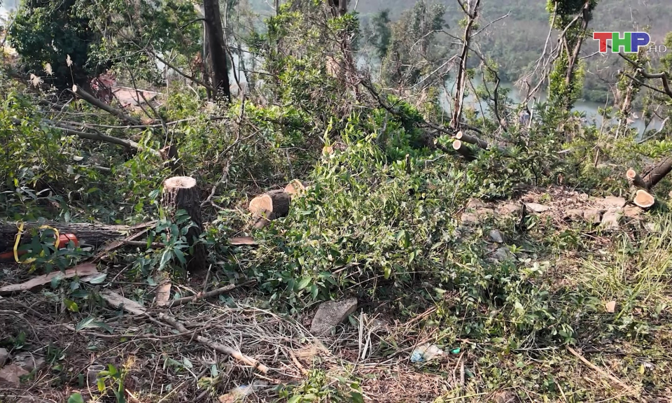 Tăng cường ph&ograve;ng, chống ch&aacute;y rừng  