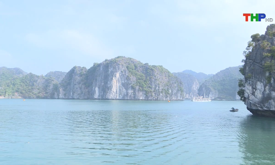 Bản tin tiếng Anh (07/01/2025)