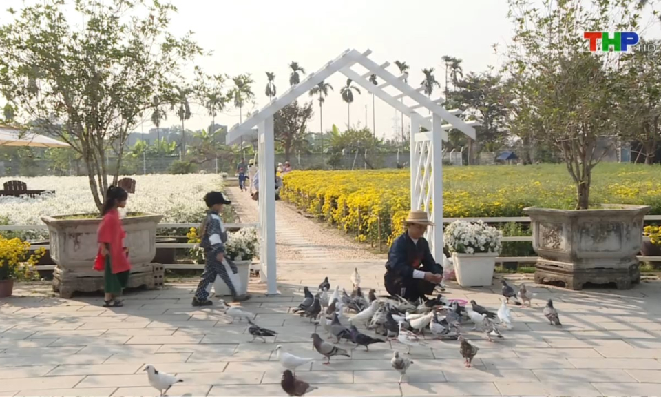 Hải Ph&ograve;ng những g&oacute;c nh&igrave;n: Đổi mới tư duy cho ph&aacute;t triển du lịch Hải Ph&ograve;ng