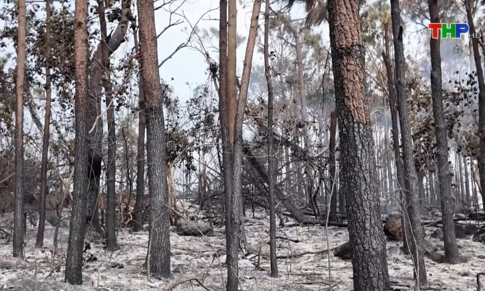 Bản tin thời sự s&aacute;ng (09/01/2025)