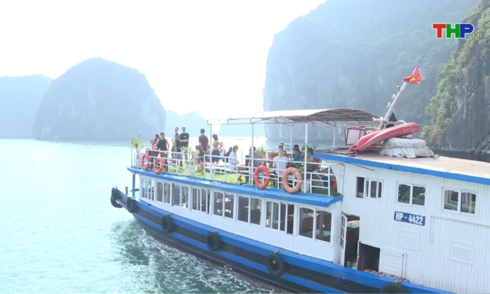 Bản tin thời sự tối (08/01/2025)