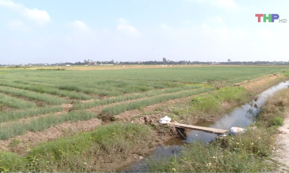 Bản tin thời sự trưa (09/01/2025)