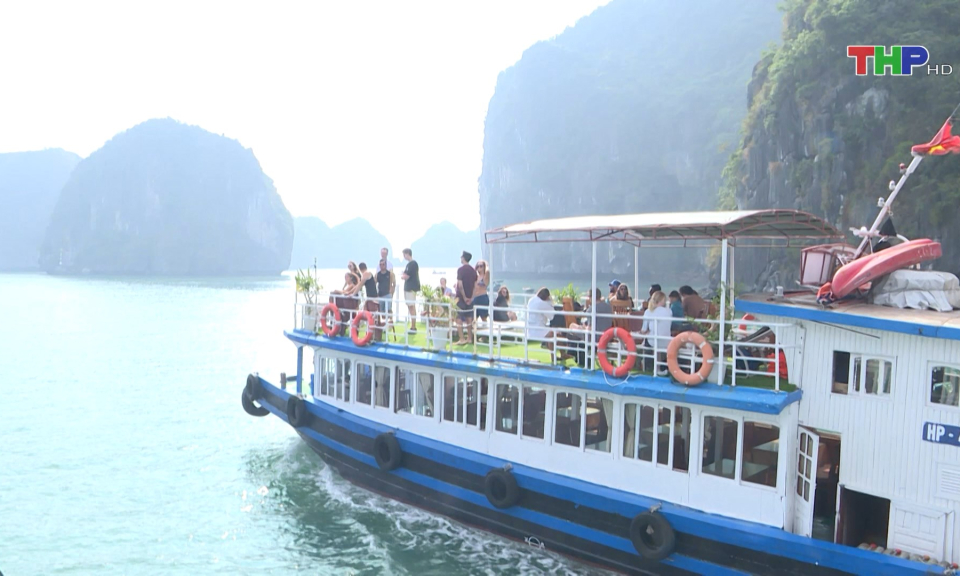 Du lịch C&aacute;t B&agrave; khởi sắc dịp cuối năm