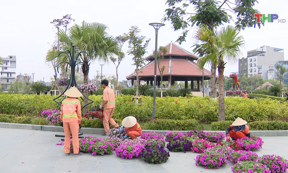 Trang tr&iacute; hoa xu&acirc;n