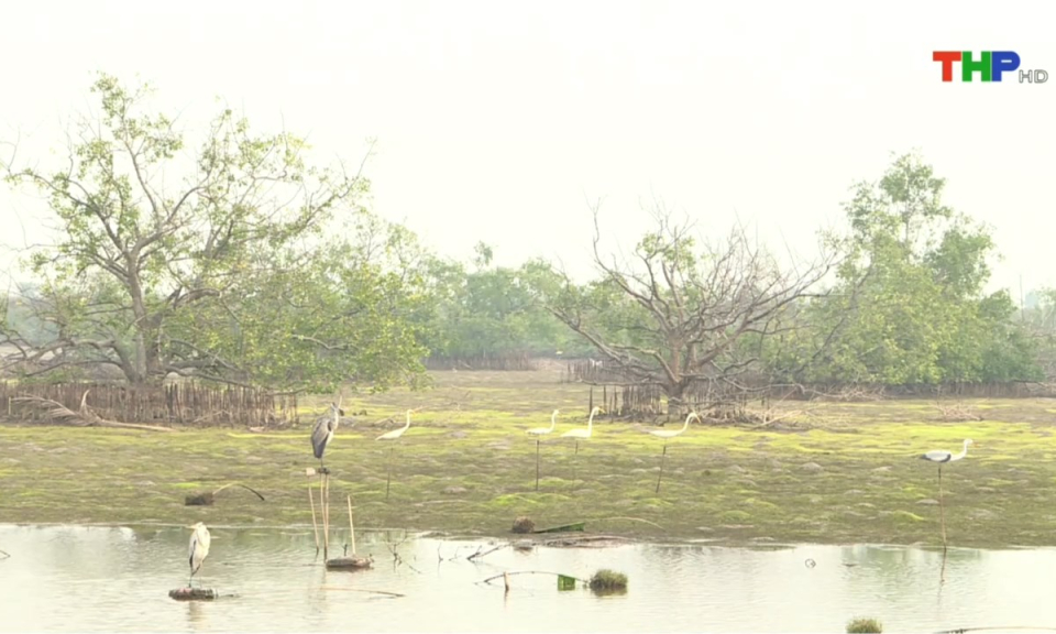 10 ph&uacute;t v&agrave;ng (09/01/2025)