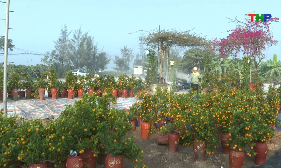 Bản tin Hải Ph&ograve;ng kết nối (10/01/2025)