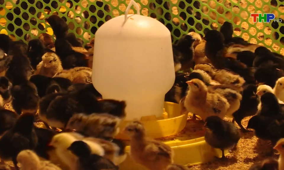 10 ph&uacute;t v&agrave;ng (10/01/2025)