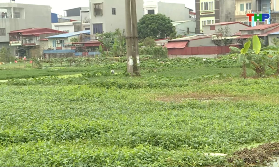 Bản tin thời sự tối (11/01/2025)