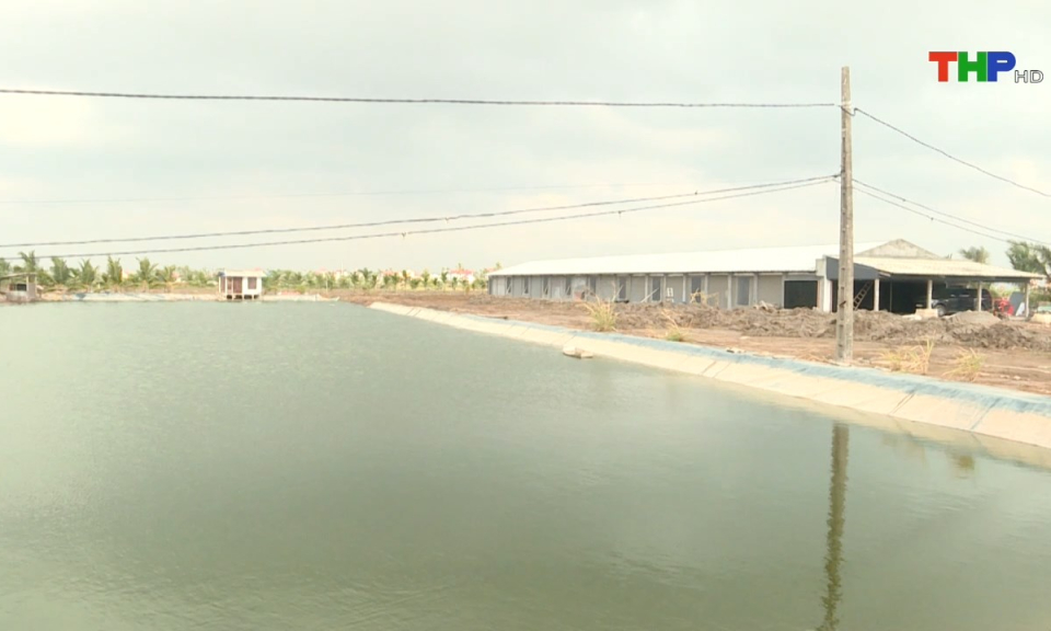 Bản tin tiếng Anh (11/01/2025)