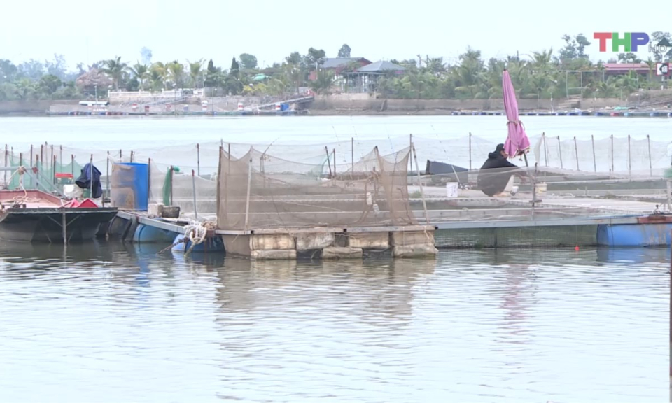 Bản tin thời sự trưa (12/01/2025)